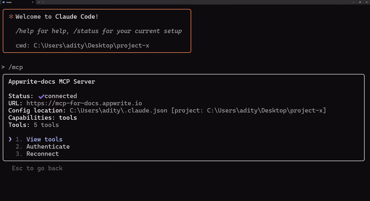 Verify MCP tools